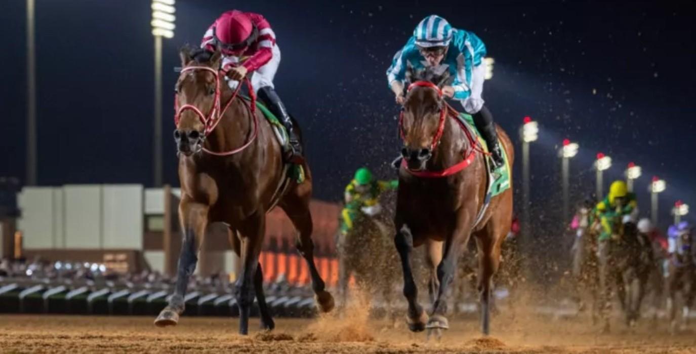 394ebb9e 7ee9 4bd0 91c3 62cfe72e5b1c file.jpg