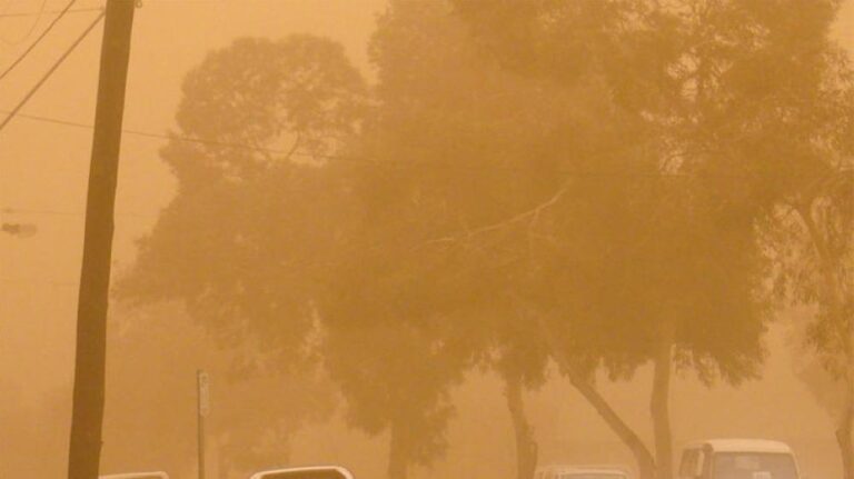 3a98c7db 3588 4552 a54b 21c05ab9214f file.jpg