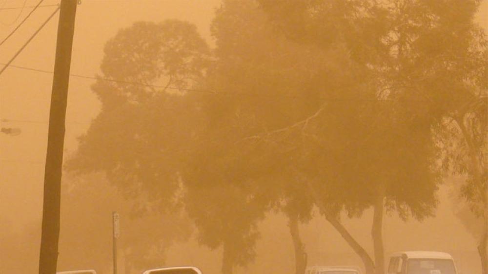 3a98c7db 3588 4552 a54b 21c05ab9214f file.jpg