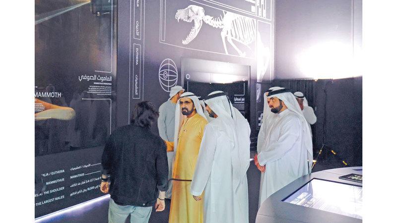 3b38650d 64b7 4623 8bee 61e8f5eab49d file.jpg