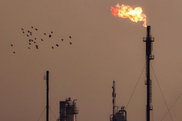 3e0a7e15 41de 40b8 8651 c416f7606146 file.jpeg