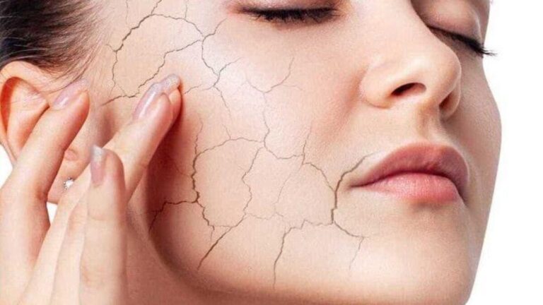 42581aba cd53 4144 a3e1 1401c469f6b2 file.jpg