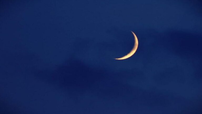 489ff040 d073 476e 9358 5ad9a7778616 file.jpg