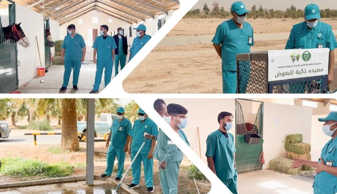 4c4a89d9 b365 4782 b2e5 d4ac92770390 file.jpg