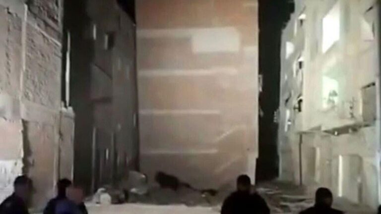 4c61a6c9 c35e 4b79 b722 868311650351 file.jpg