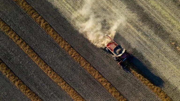 4c872937 4fc5 4e3f 8ff9 d5a83be6fb3c file.jpg