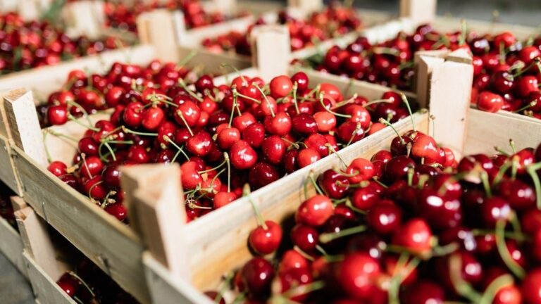 4e2fa02d 44cd 4e3d b70f 32adfa3d9252 file.jpg