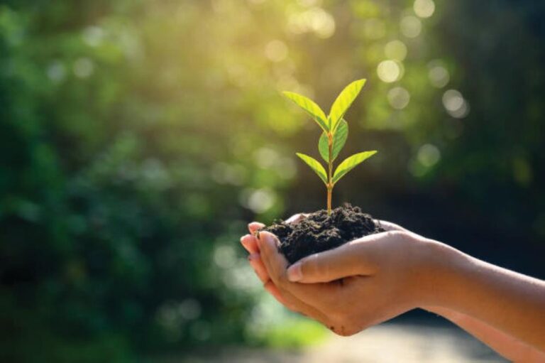 5029c1bf 74c1 45f8 9bd5 b41815c11fea file.jpg