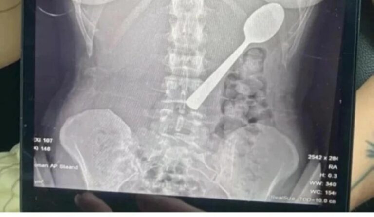 50c06582 8a57 43c9 8e6c cf8ce5a90bf4 file.jpg