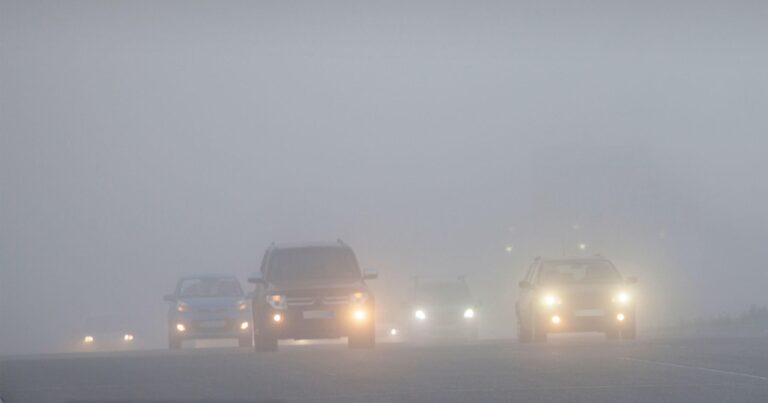 50e0ab39 1cb4 4cce bcca 7cdc862423e5 file.jpg