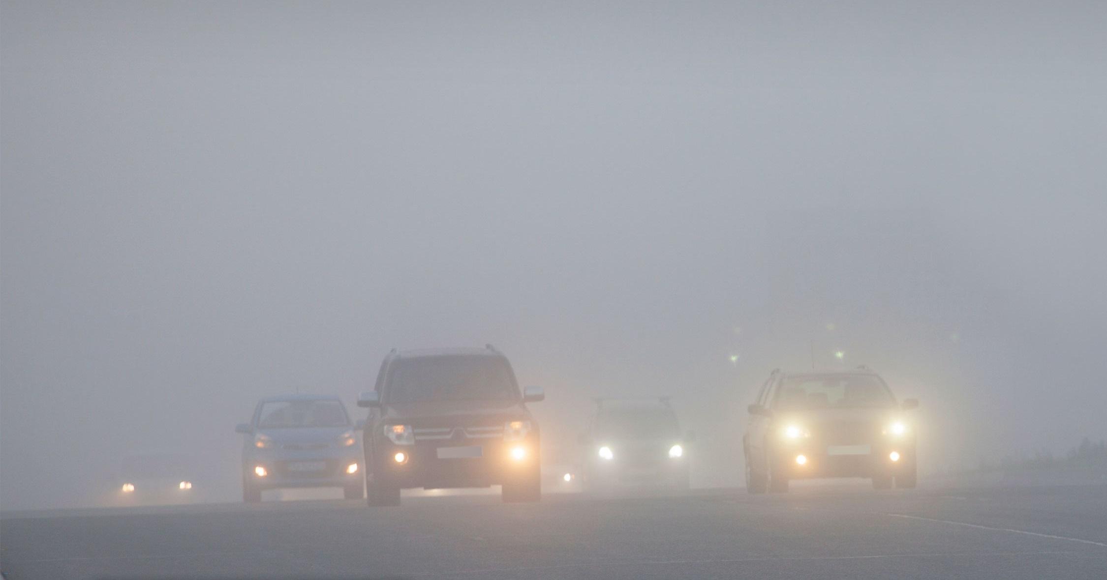 50e0ab39 1cb4 4cce bcca 7cdc862423e5 file.jpg