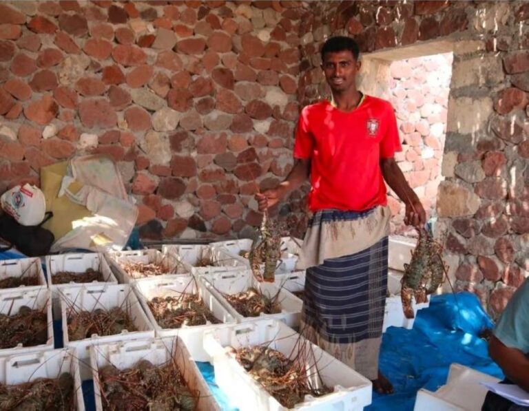 534c4306 691b 4dd8 a9b0 afd51ab03012 file.jpg