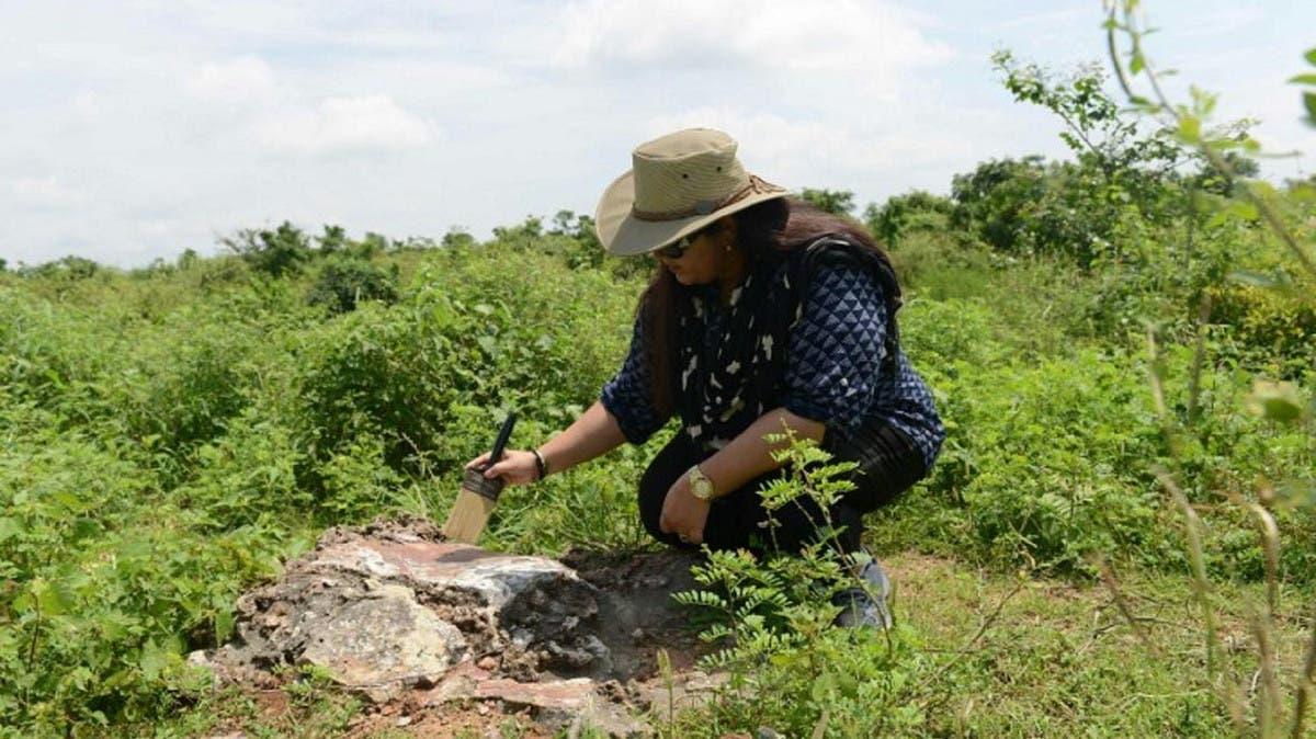 556f9f1f 0a29 4384 b47a 20f2e6f20380 file.jpg