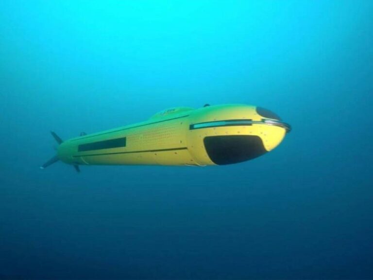 557c1d41 68bb 4739 9f0a fbecf89909ef file.jpg