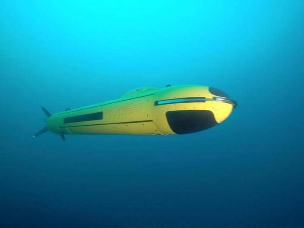 557c1d41 68bb 4739 9f0a fbecf89909ef file.jpg