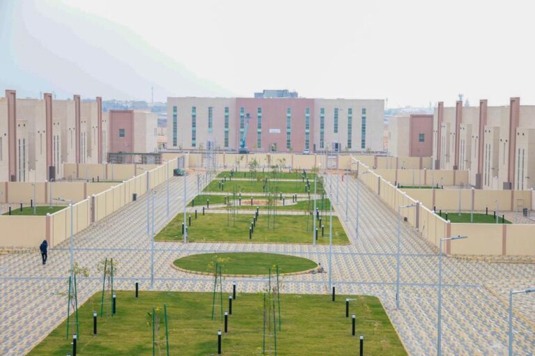 597d54d7 682b 4922 bfa7 7c42b656afe7 file.jpg