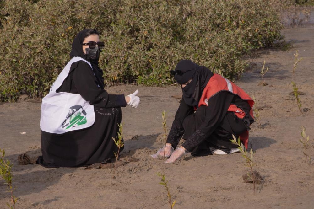 5c2dbdca 98c7 4eaf 9002 8cc4f31b4df1 file.jpg