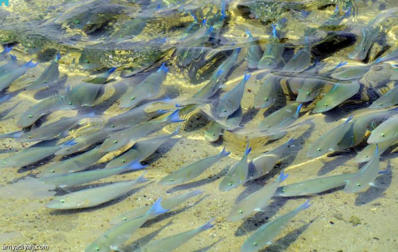 623428f5 be92 4d88 84c7 63725067527b file.jpg