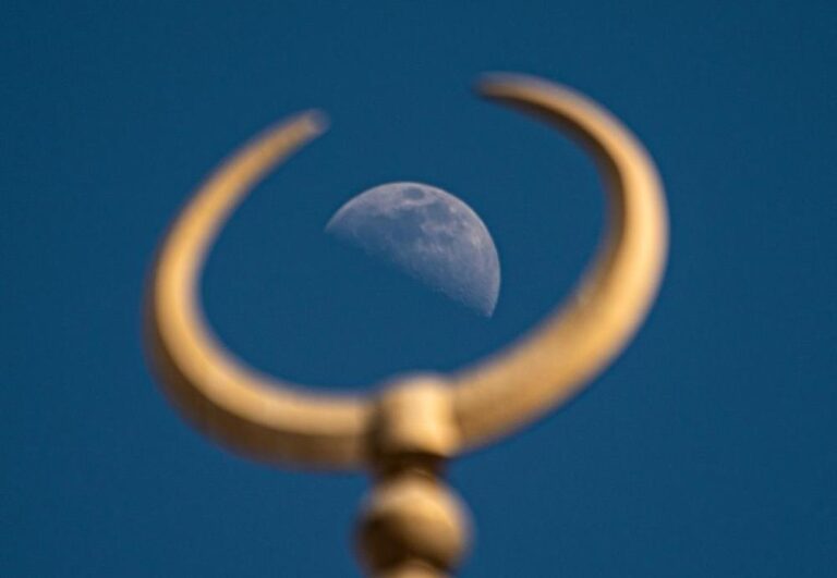 62dee07d 65cf 4e78 ab38 8e628e743613 file.jpg