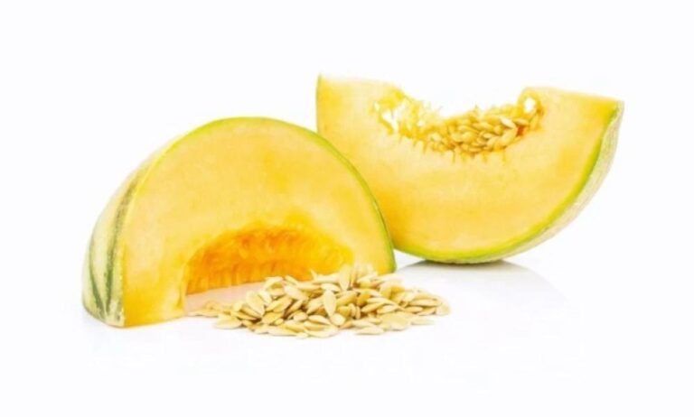 637acaea 096a 4fe5 b8b4 87aede559a30 file.jpg