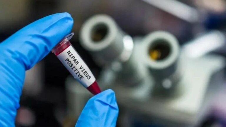 63b6cfb9 36ca 4d5b ab23 7331e57d9872 file.jpg