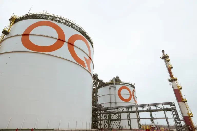 63f5ba64 8d1e 465e bfbb 277dfe016a1a zawta.webp