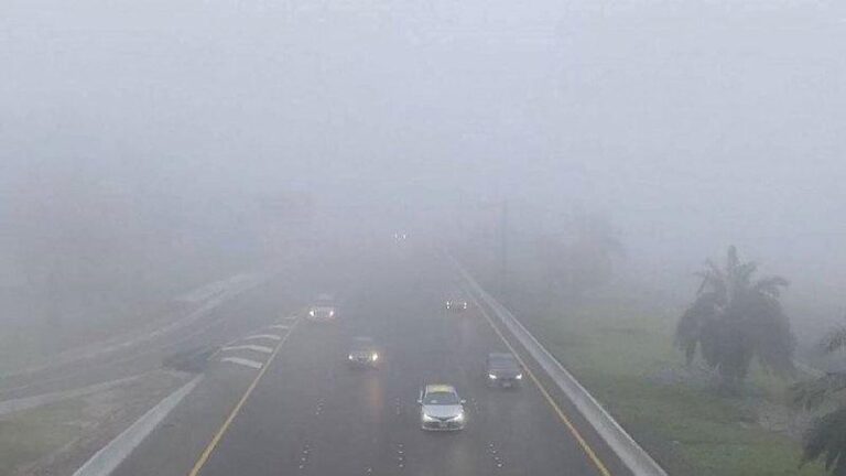 641585a5 4036 4740 85fe f7b7eed8196f file.jpg