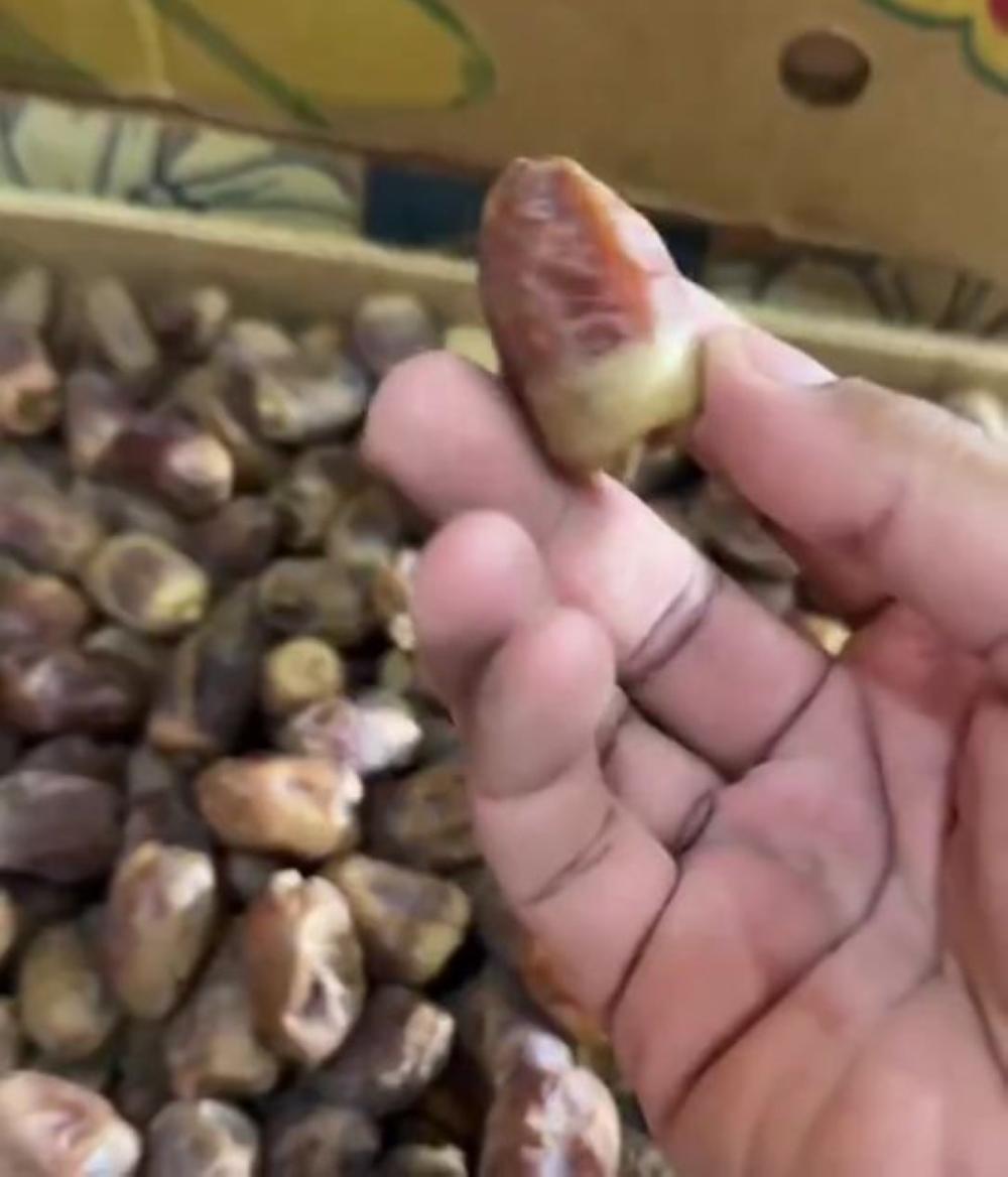 64bd38c2 d04f 484e 9b48 daaa29c9e802 file.jpg