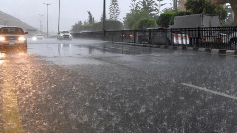 6573cdeb 33fc 4bb6 bff0 3946512b5105 file.jpg