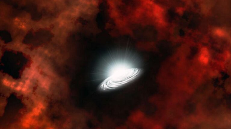 678f401a 11ae 4887 892a 36d294431c35 file.jpg