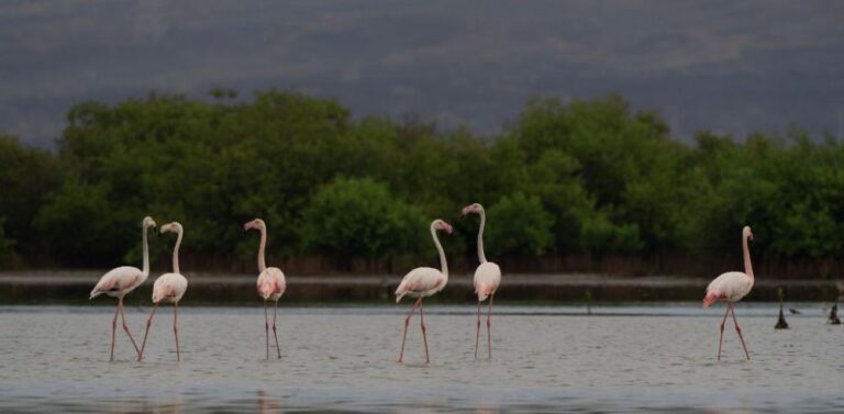 68c9f176 fd7f 484d b2a3 cc4528c40fa2 file.jpg