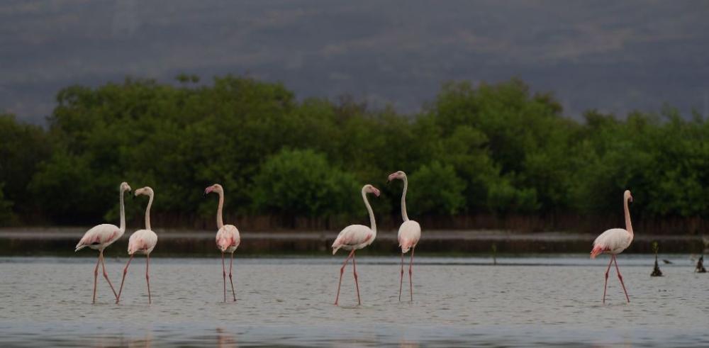 68c9f176 fd7f 484d b2a3 cc4528c40fa2 file.jpg