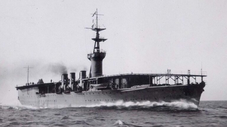 6aa6e56d d254 4930 8efe 64c6d341a26a file.jpg