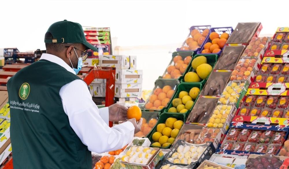 6cdf7a3d 3265 4026 8590 f6b24dcb48b5 file.jpg