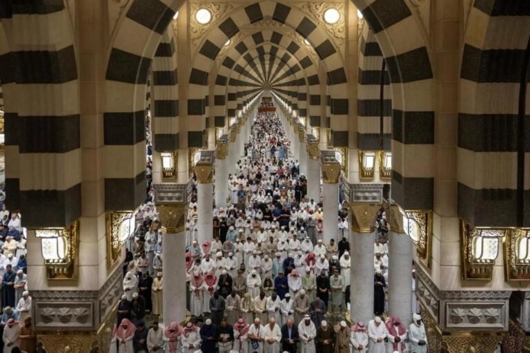 6e03d256 aaed 440b 9050 100d2c376611 file.jpg