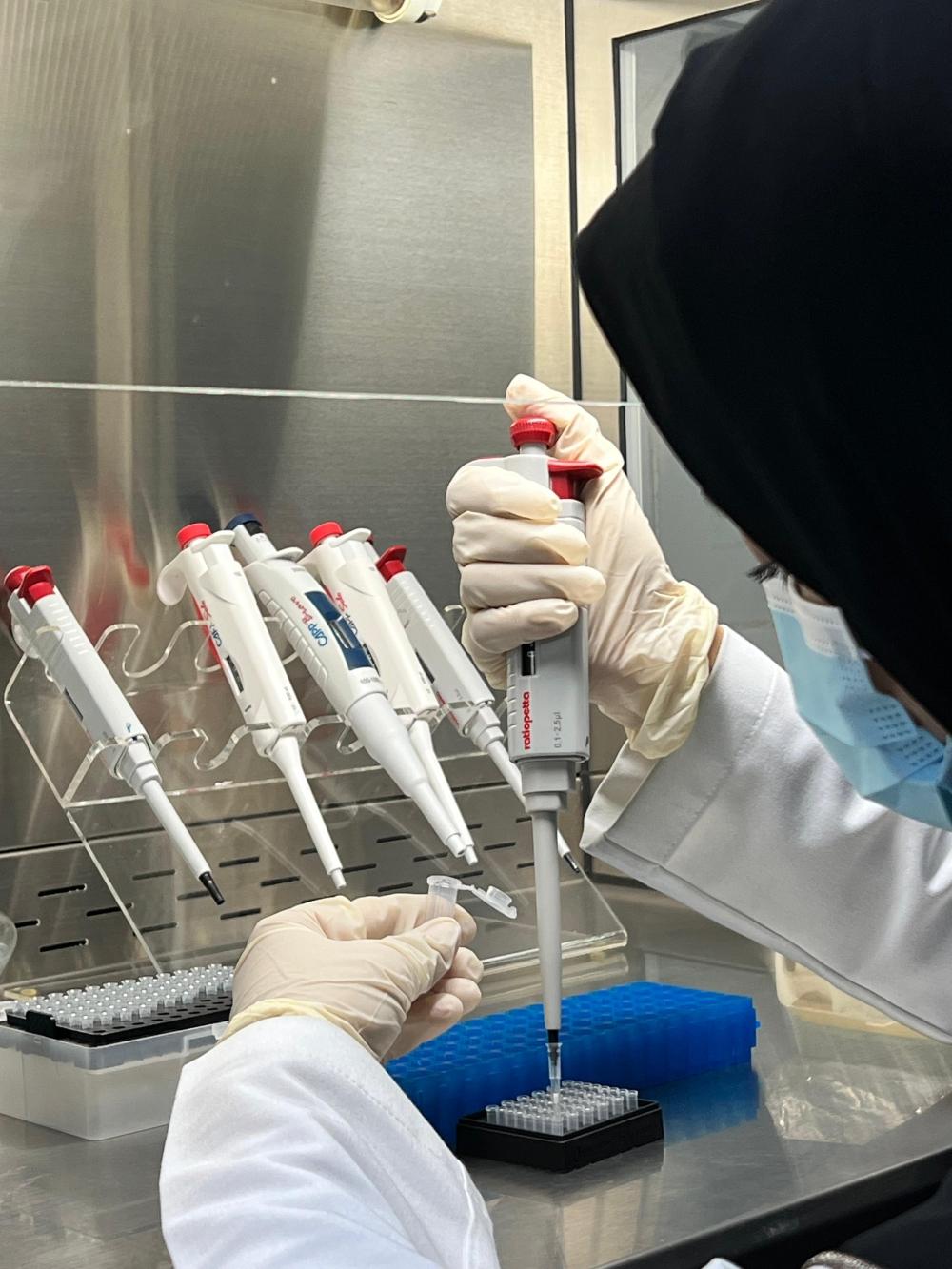 6ec3e6cb 1909 4270 8ba9 95ea1e104d6b file.jpg