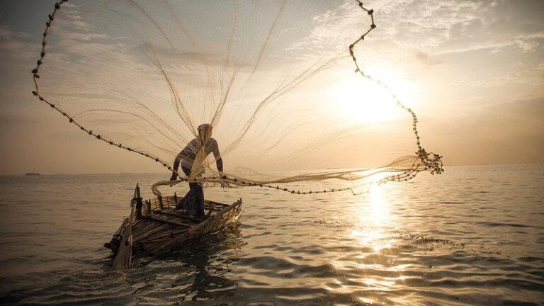 7180affe 3dfc 42bf a973 2ead4fe819e2 file.jpg