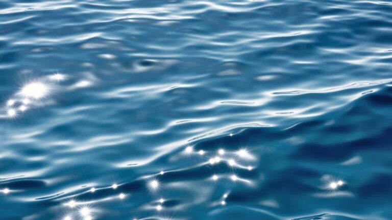 722837e5 ee26 4072 9780 cd0550738736 file.jpg