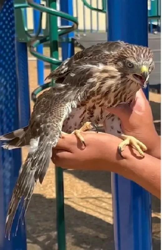 77200121 9e2f 4bb9 aa2f 56ec939ad7d9 file.jpg