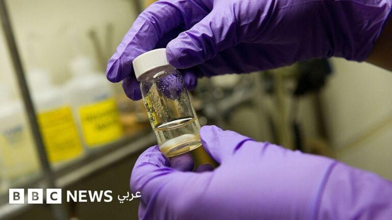 7727defa 829b 40aa bf44 b291e7716e21 file.jpg