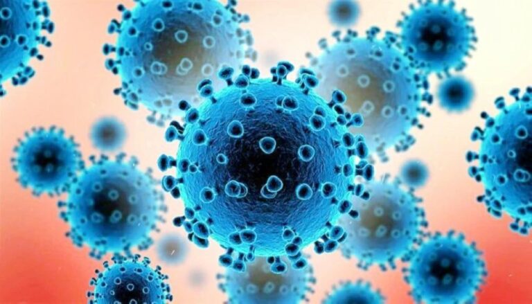 7e857652 738f 4279 a33d 2ab57b8afb43 file.jpg