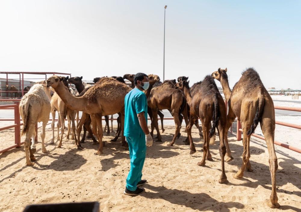 7f1ec41d 6ce3 4fb8 aa8f 904a15015ccc file.jpg