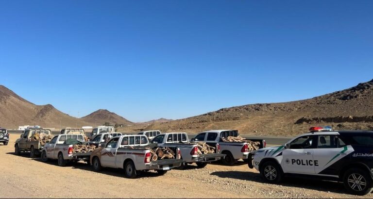 81915fbd e281 4fd7 98fa 7a6a9c60876b file.jpg