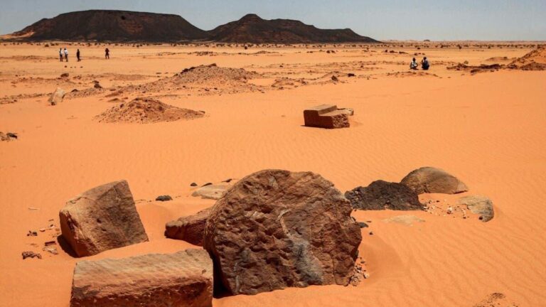 81d26843 cb91 470c 9afa 6b542fd45c5a file.jpg