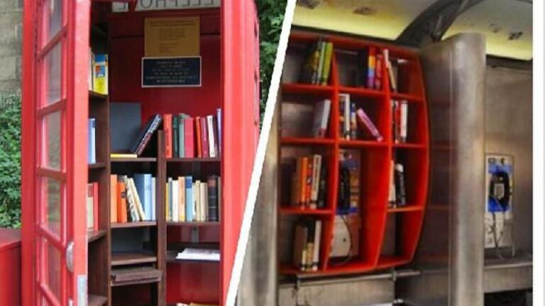 821e026d 99d2 4ce4 a947 15a359b1a3aa file.jpg