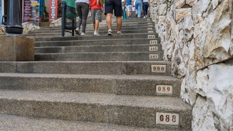 82837af0 b2ab 42cf 946d 1726c8c663be file.jpg