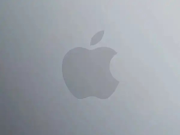 83e524a9 d520 4d09 b75e 9bcaffc6a98d file.jpeg