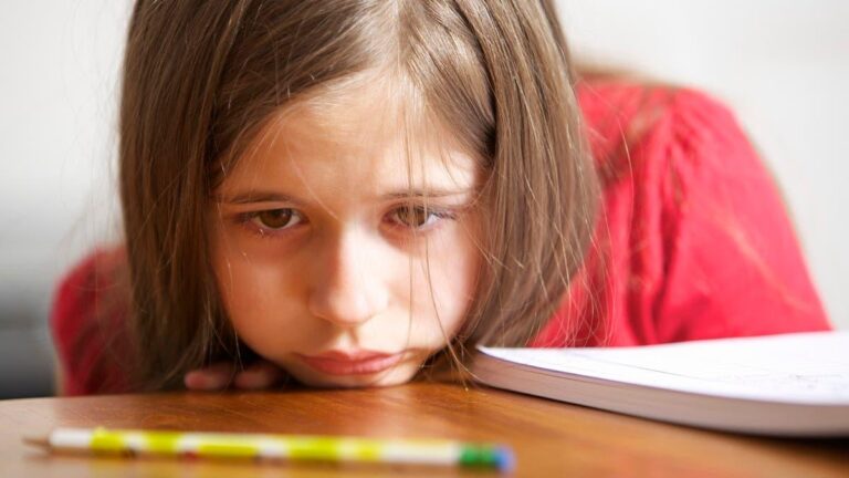 8457396f 17a7 4e56 aa05 477b931c0772 file.jpg