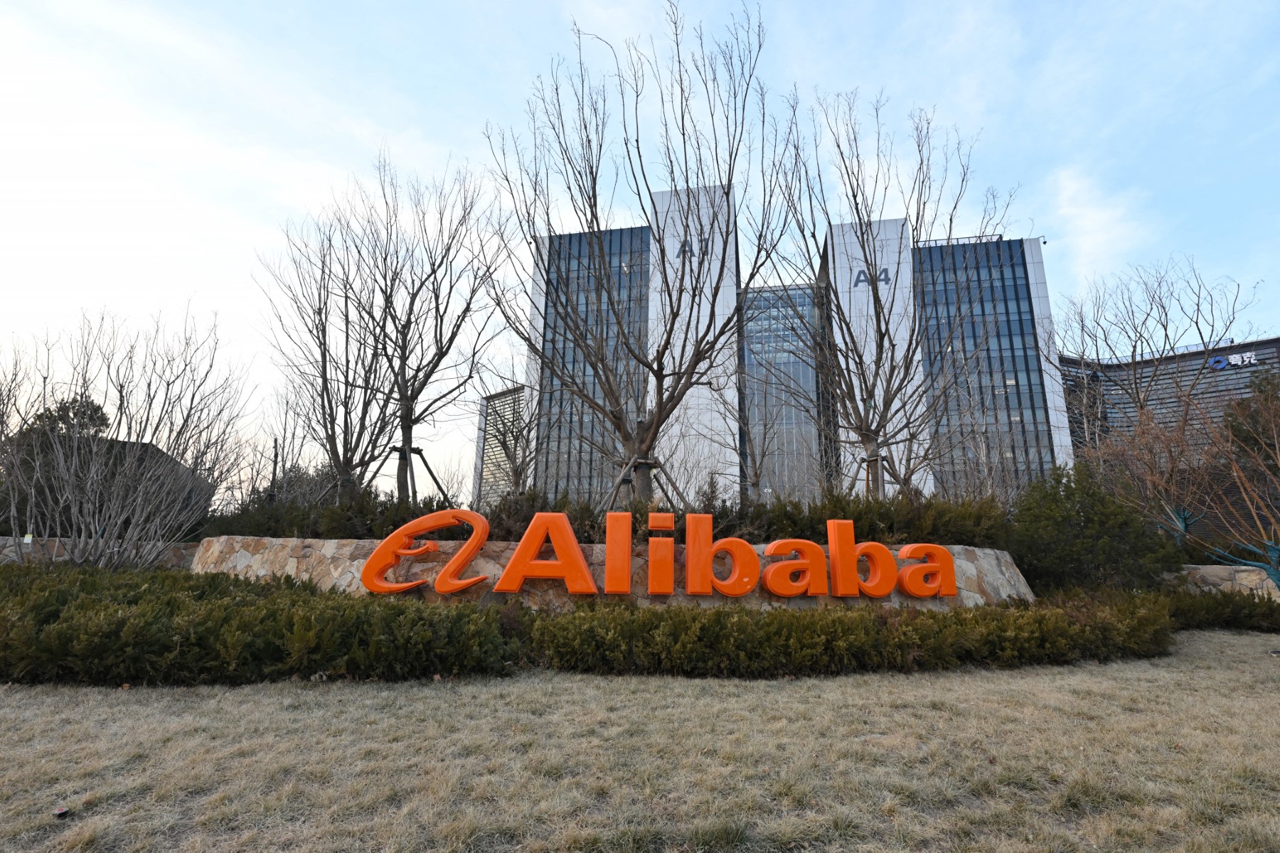 8a8814c4 ea9b 476d 80bd 000b1211ec7a file.jpeg