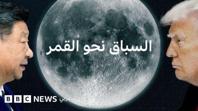 8a9d081d e86d 4400 b6c3 a74582d679bb file.jpg